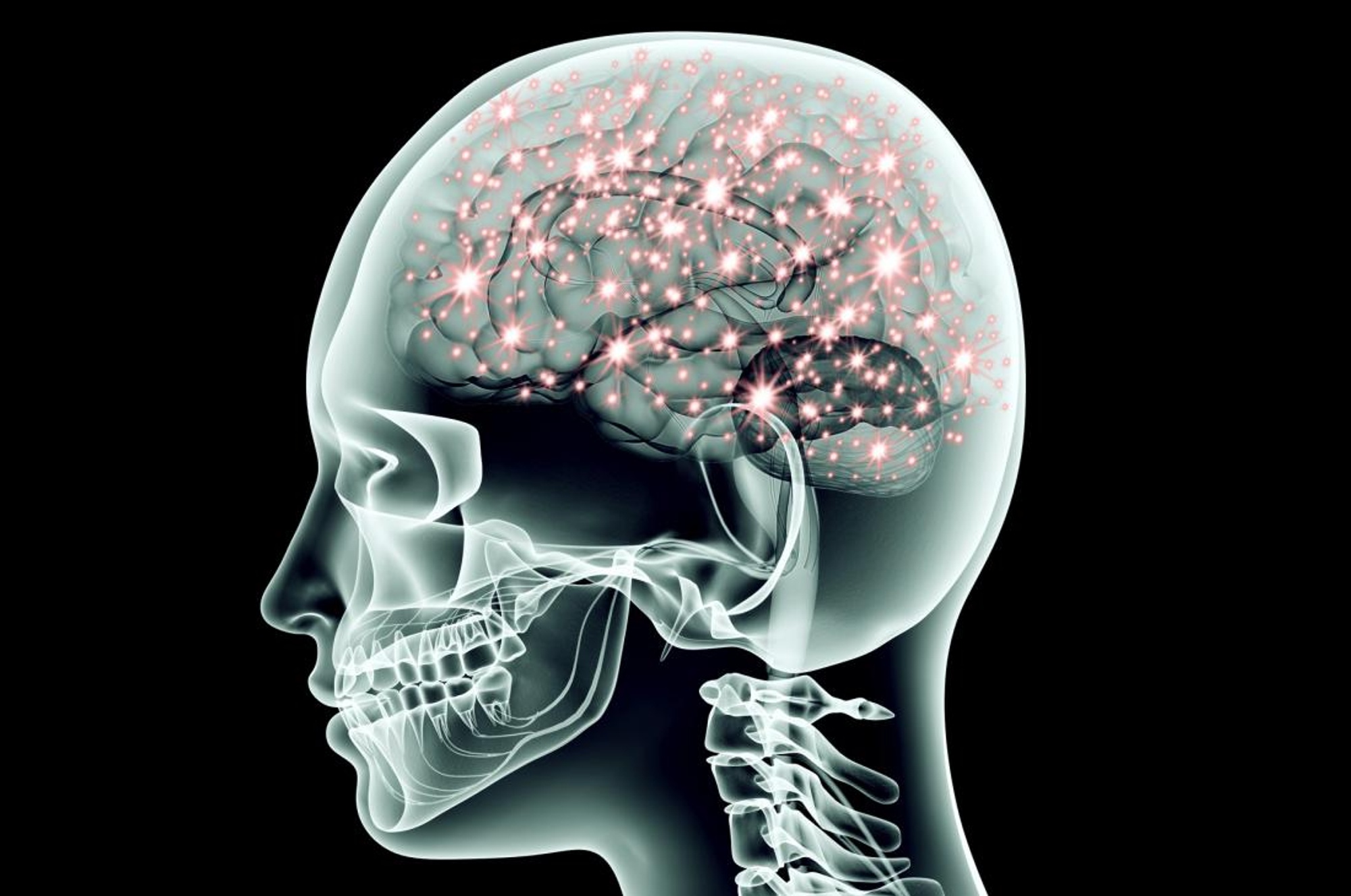 How You Influence Your Nervous System