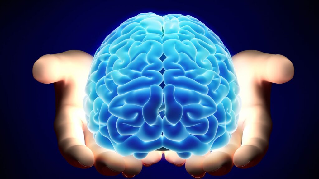 Need a working brain?