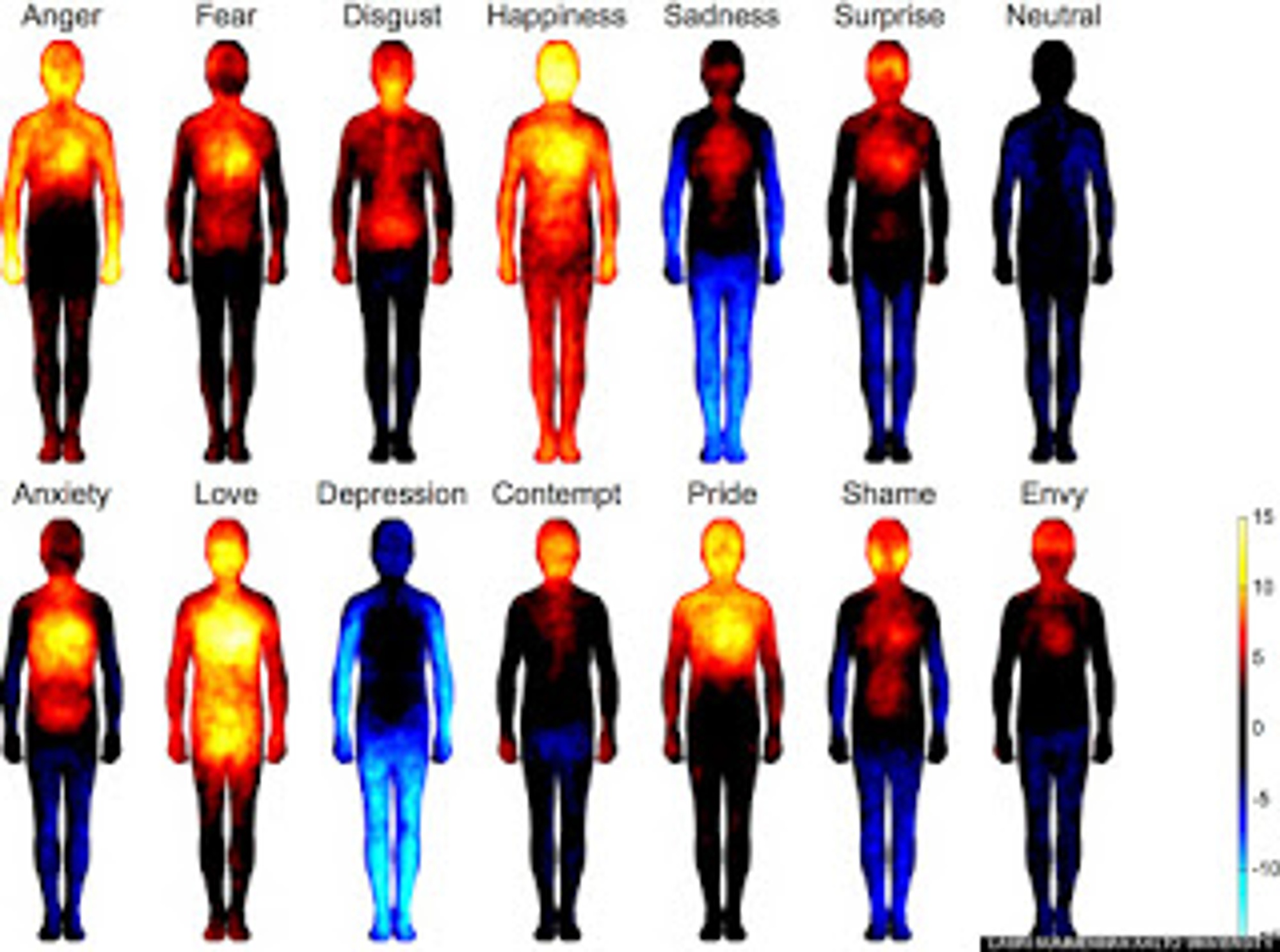 Preserving Your Body & Stabilizing Emotions